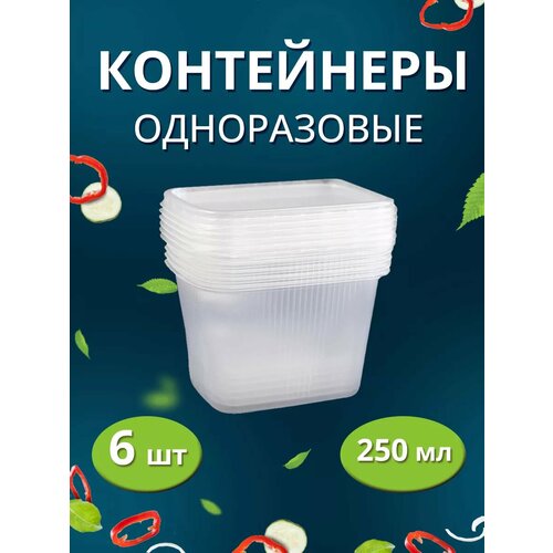 Контейнер одноразовый с крышкой 6шт 250мл фото, описание