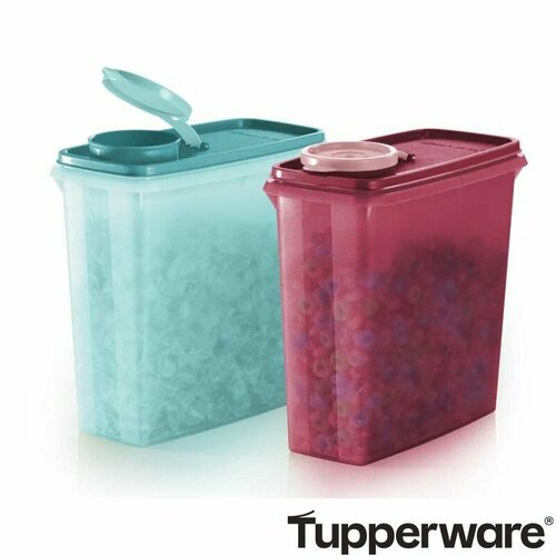 Компактус Гигант (2,8 л), 2 шт. Tupperware фото, описание