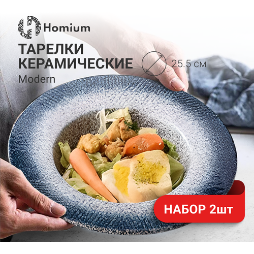 Набор тарелок Homium Kitchen, Modern, 2шт, цвет сине-белый, D25.5см фото, описание