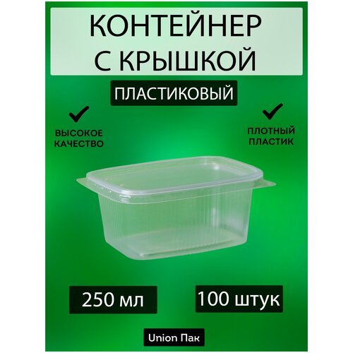 Контейнер с крышкой одноразовый пластиковый 250 мл 100 штук фото, описание