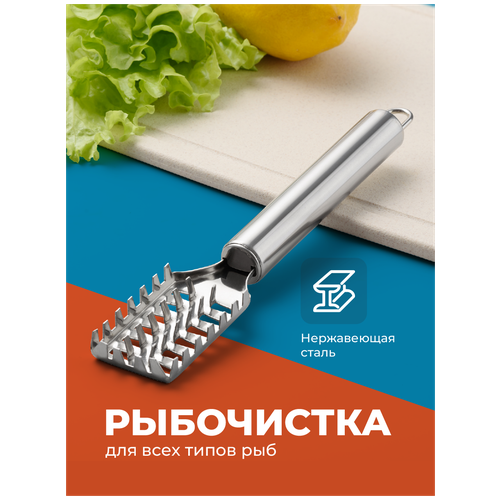 Рыбочистка Shiny Kitchen, Нож кухонный для чистки и разделки рыбы, для удаления чешуи фото, описание